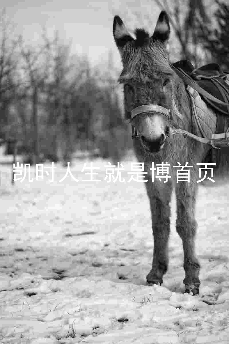 凯时人生就是博首页